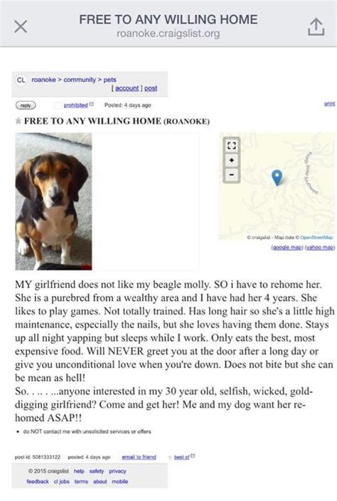 If you have knowledge regarding the breed and feel you could give her a. . Craigslist south bend pets